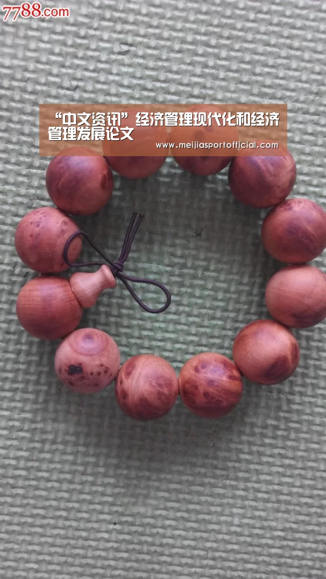 “中文资讯”经济管理现代化和经济管理发展论文