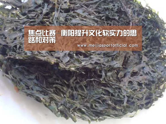 焦点比赛-衡阳提升文化软实力的思路和对策(图2) 赛程查询